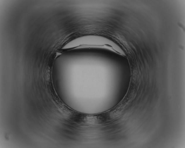X0000091170413200709060938