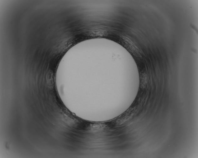 X0000091170414200709060938