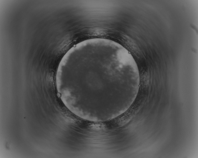 X0000091170415200709060938