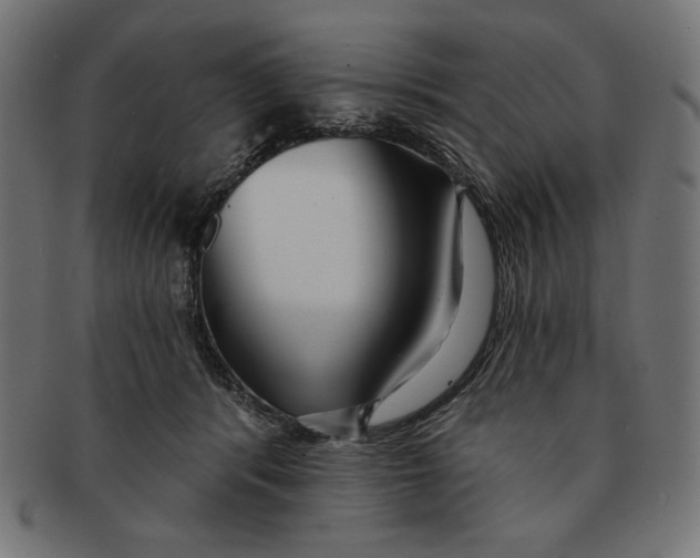X0000091170416200709060938