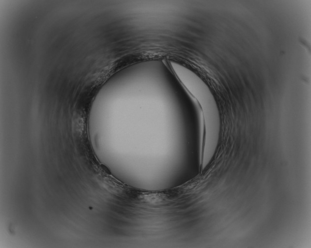 X0000091170417200709060938