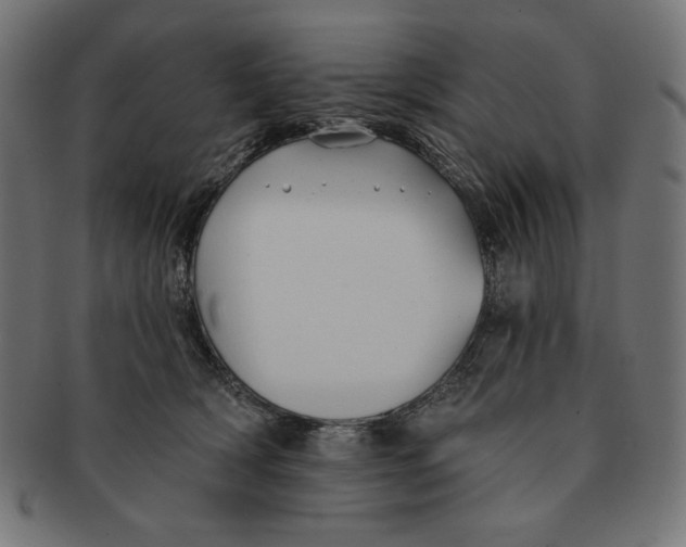 X0000091170418200709060938