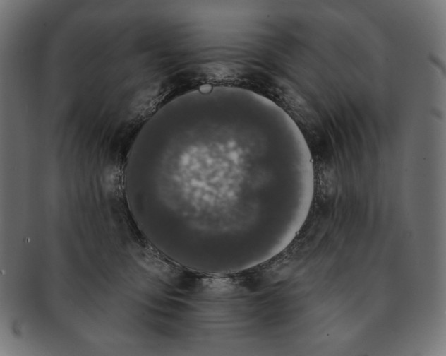 X0000091170419200709060938