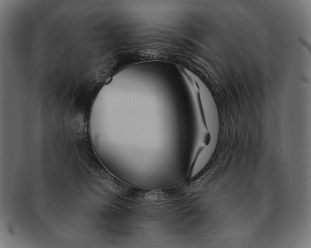 X0000091170420200709060938