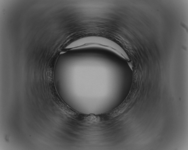X0000091170421200709060938