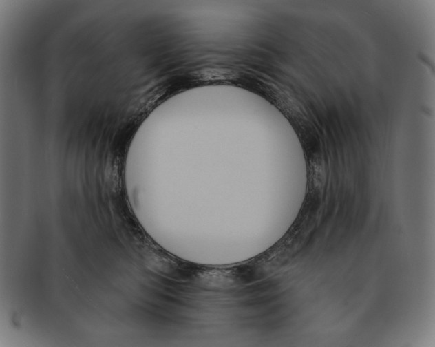 X0000091170422200709060938
