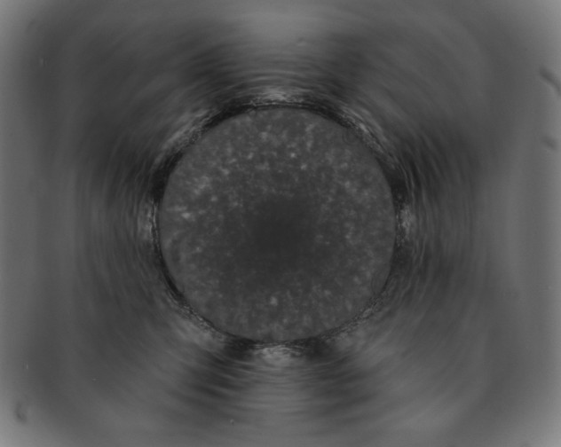 X0000091170423200709060938