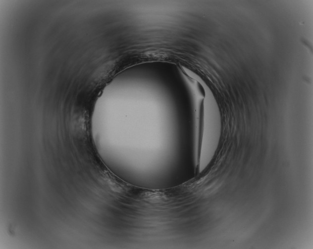 X0000091170424200709060938