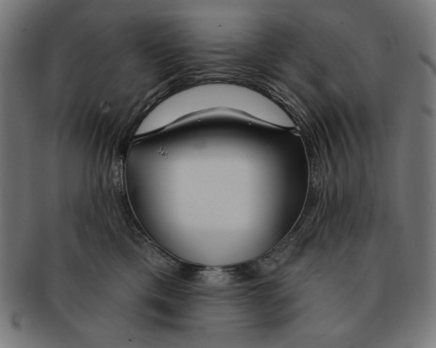 X0000091170425200709060938