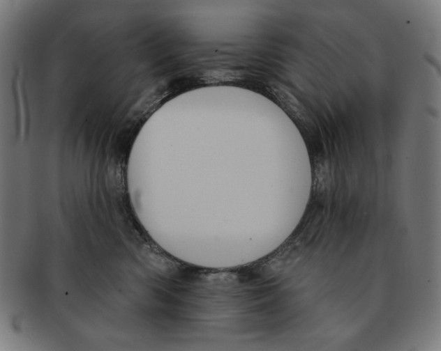 X0000091170426200709060938