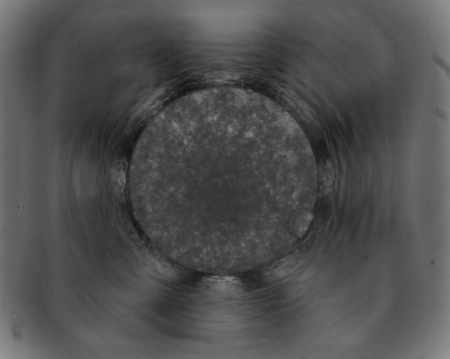 X0000091170427200709060938