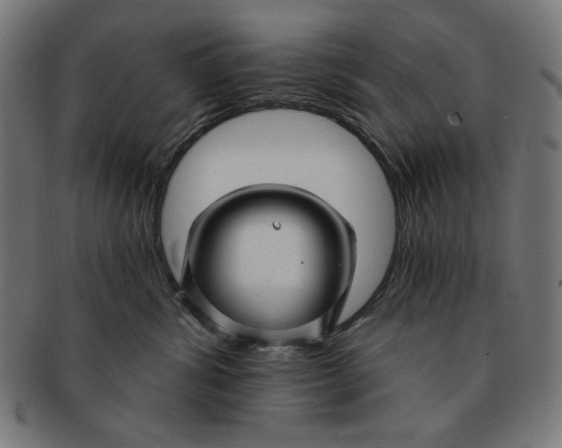 X0000091170428200709060938