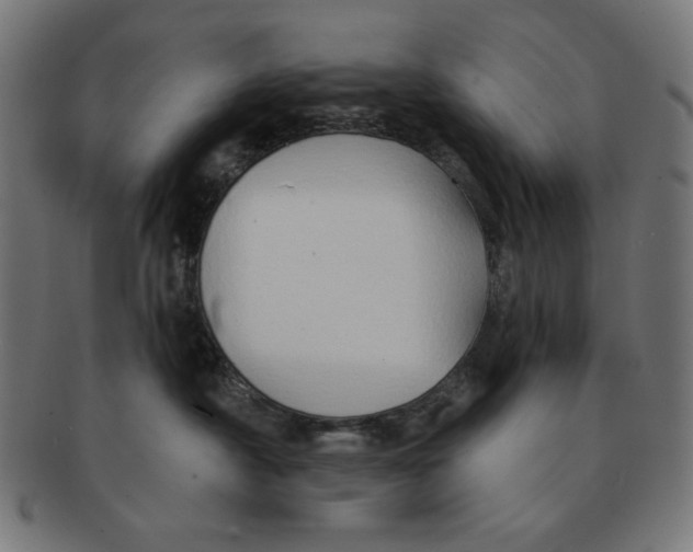 X0000091170430200709060938