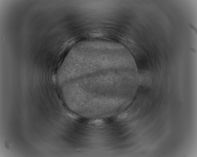X0000091170431200709060938