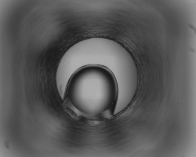 X0000091170432200709060938