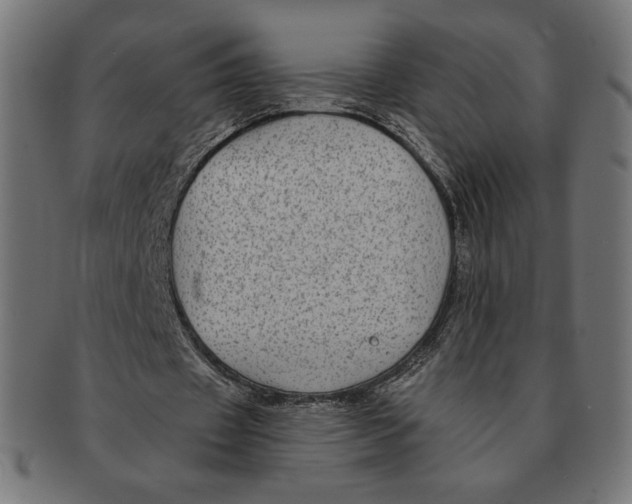 X0000091170433200709060937