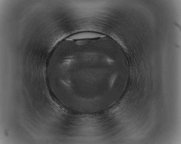 X0000091170434200709060937