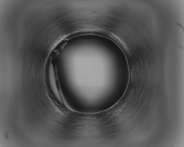 X0000091170436200709060937