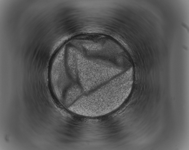 X0000091170438200709060937