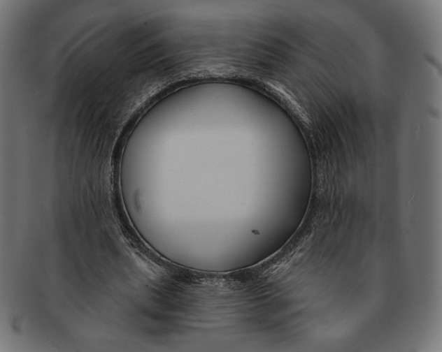 X0000091170439200709060937