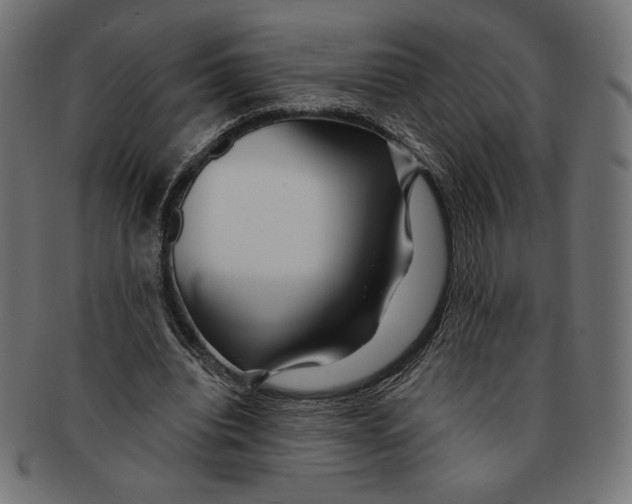 X0000091170440200709060937