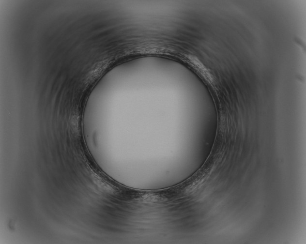 X0000091170441200709060937