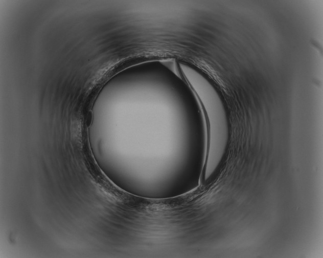 X0000091170444200709060937