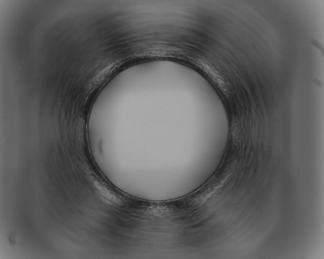 X0000091170445200709060937