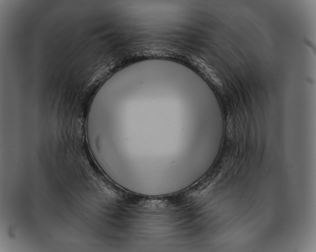 X0000091170449200709060937