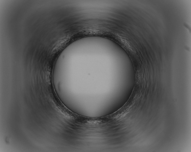 X0000091170450200709060937