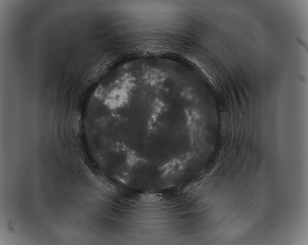 X0000091170451200709060937