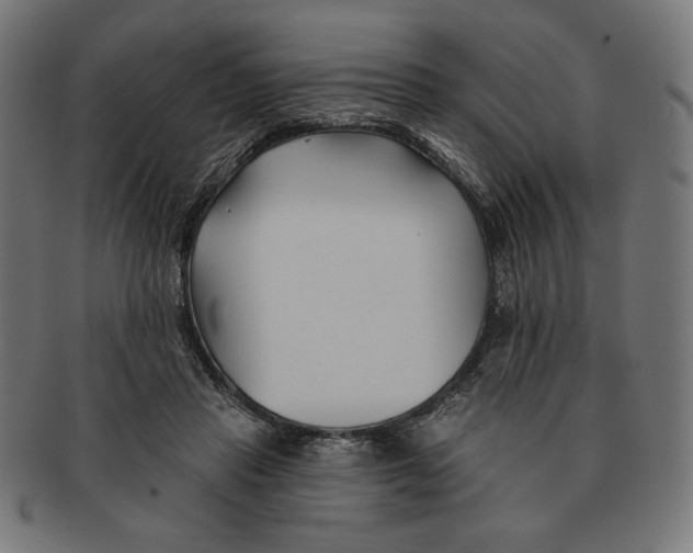 X0000091170453200709060937