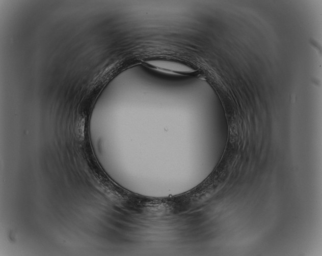 X0000091170454200709060937