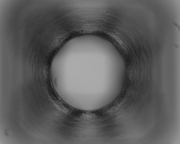 X0000091170455200709060937