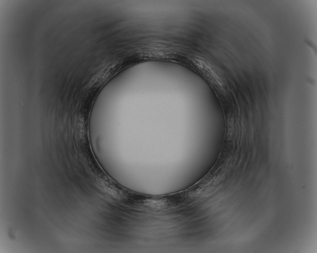X0000091170457200709060937