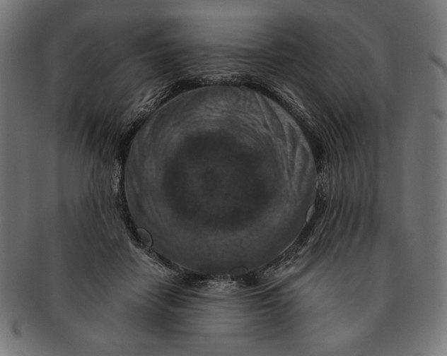 X0000091170458200709060937