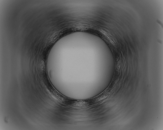X0000091170459200709060937