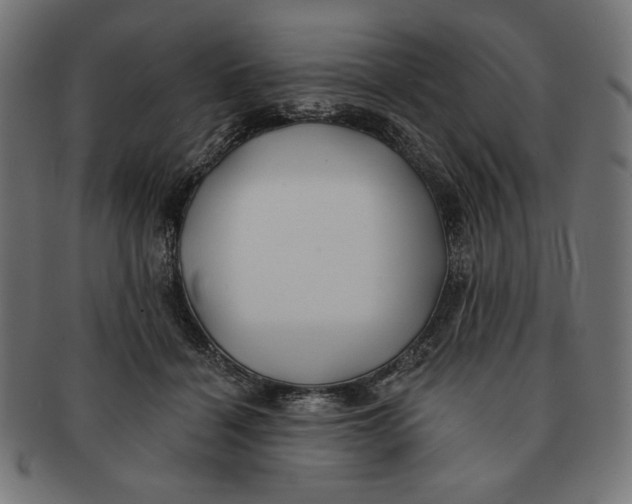 X0000091170460200709060937