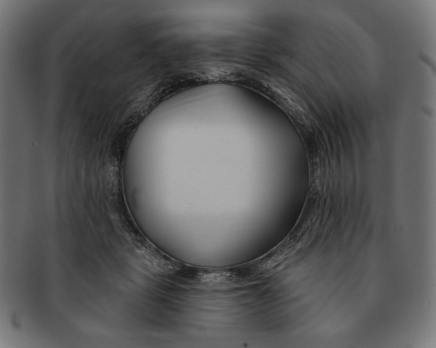 X0000091170461200709060937