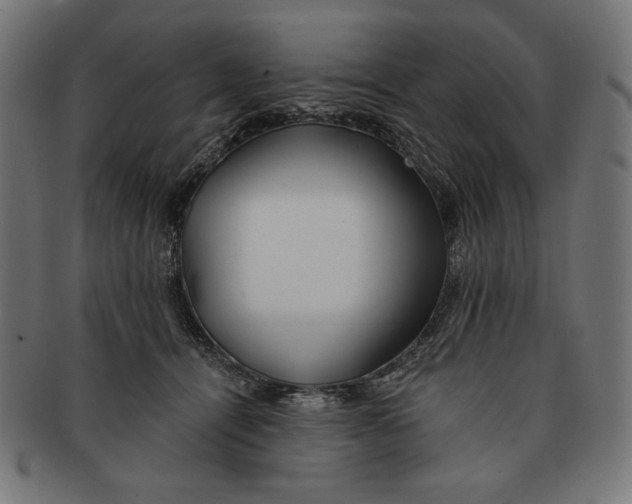 X0000091170464200709060937
