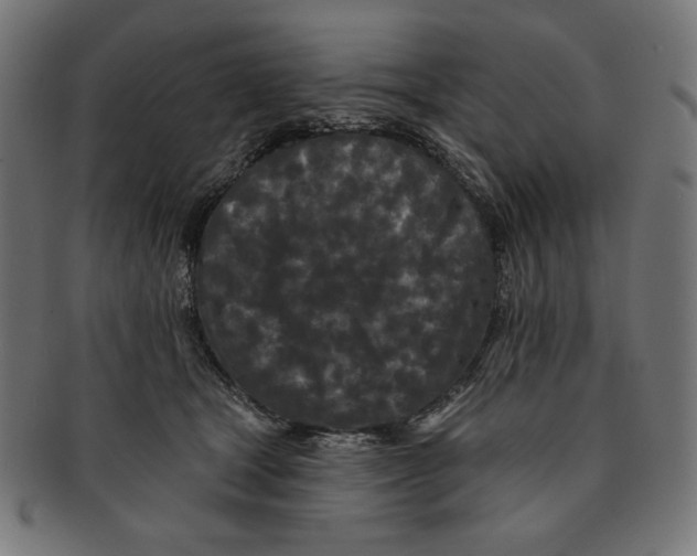 X0000091170465200709060937