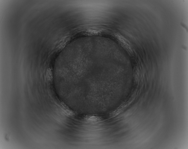 X0000091170467200709060937
