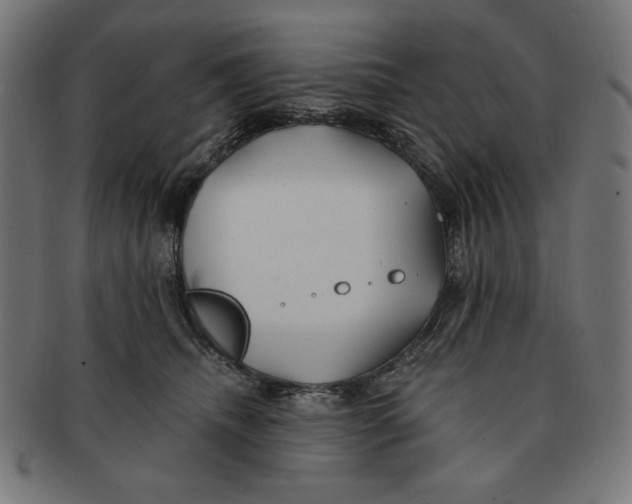 X0000091170468200709060937