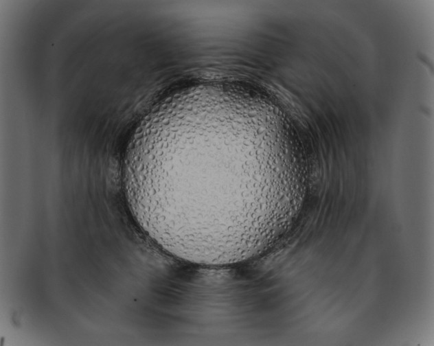 X0000091170469200709060937