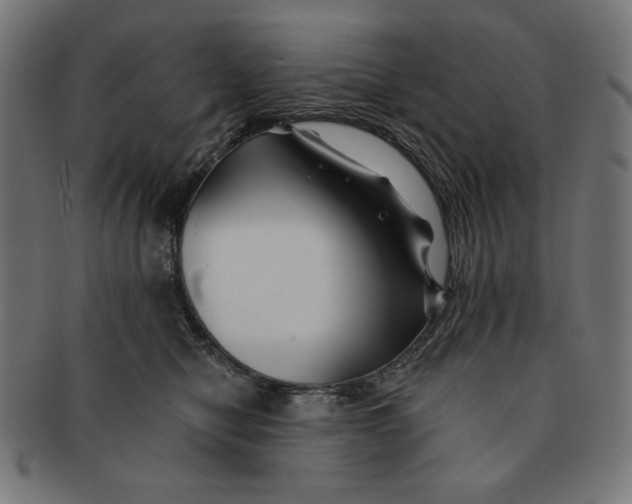 X0000091170470200709060937