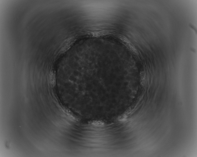 X0000091170471200709060937