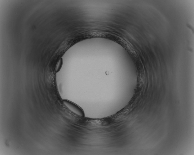 X0000091170473200709060937