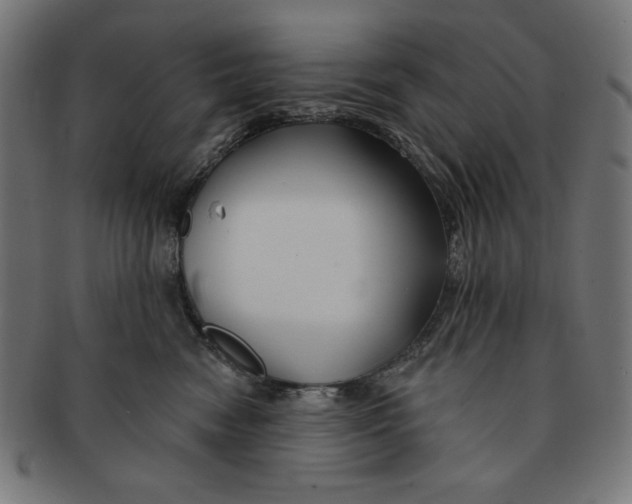X0000091170474200709060937