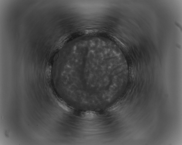 X0000091170475200709060937