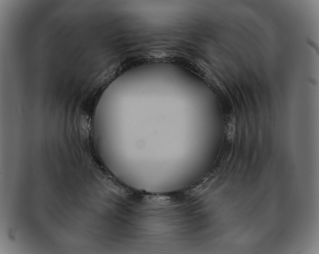 X0000091170476200709060937